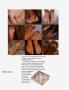 Page: - 36 | Vanity Fair