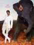 Page: - 173 | Vanity Fair