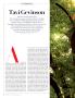 Page: - 306 | Vanity Fair