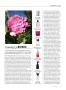 Page: - 37 | Vanity Fair